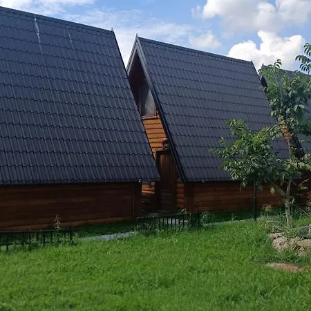 Lolini Novi Sad