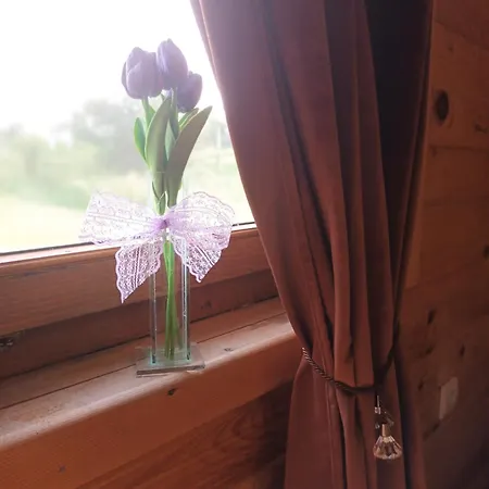 Lolini Chalet Novi Sad