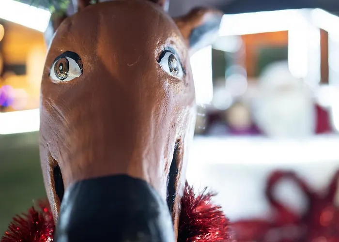 Lolini * 노비사드