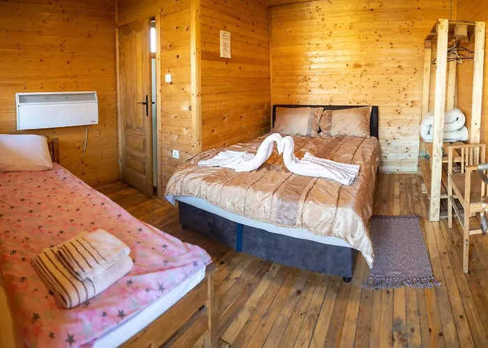 Lolini * 노비사드