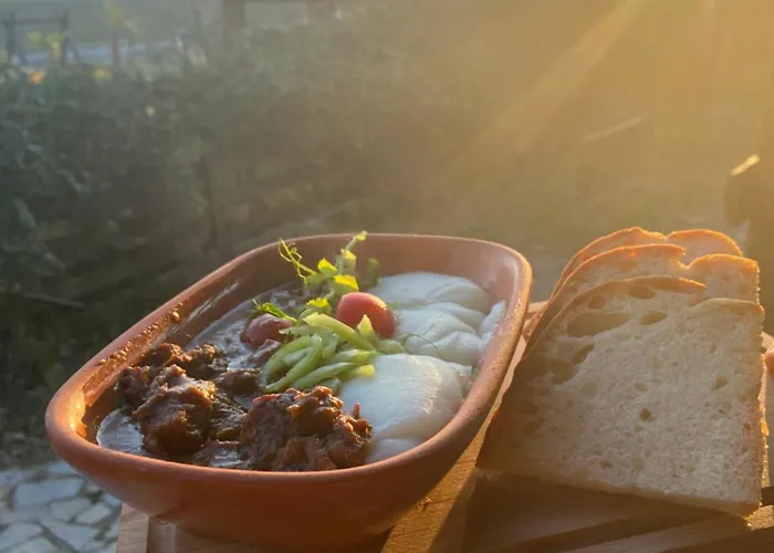 Lolini 木屋 诺威萨