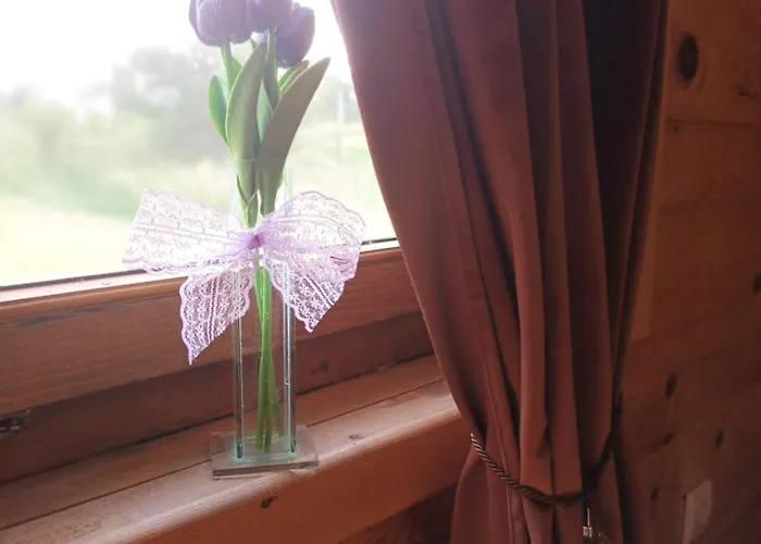 Lolini 木屋 诺威萨